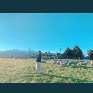 Meet your Posher, Iran